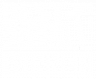 BOS_LOGO Winner white.png